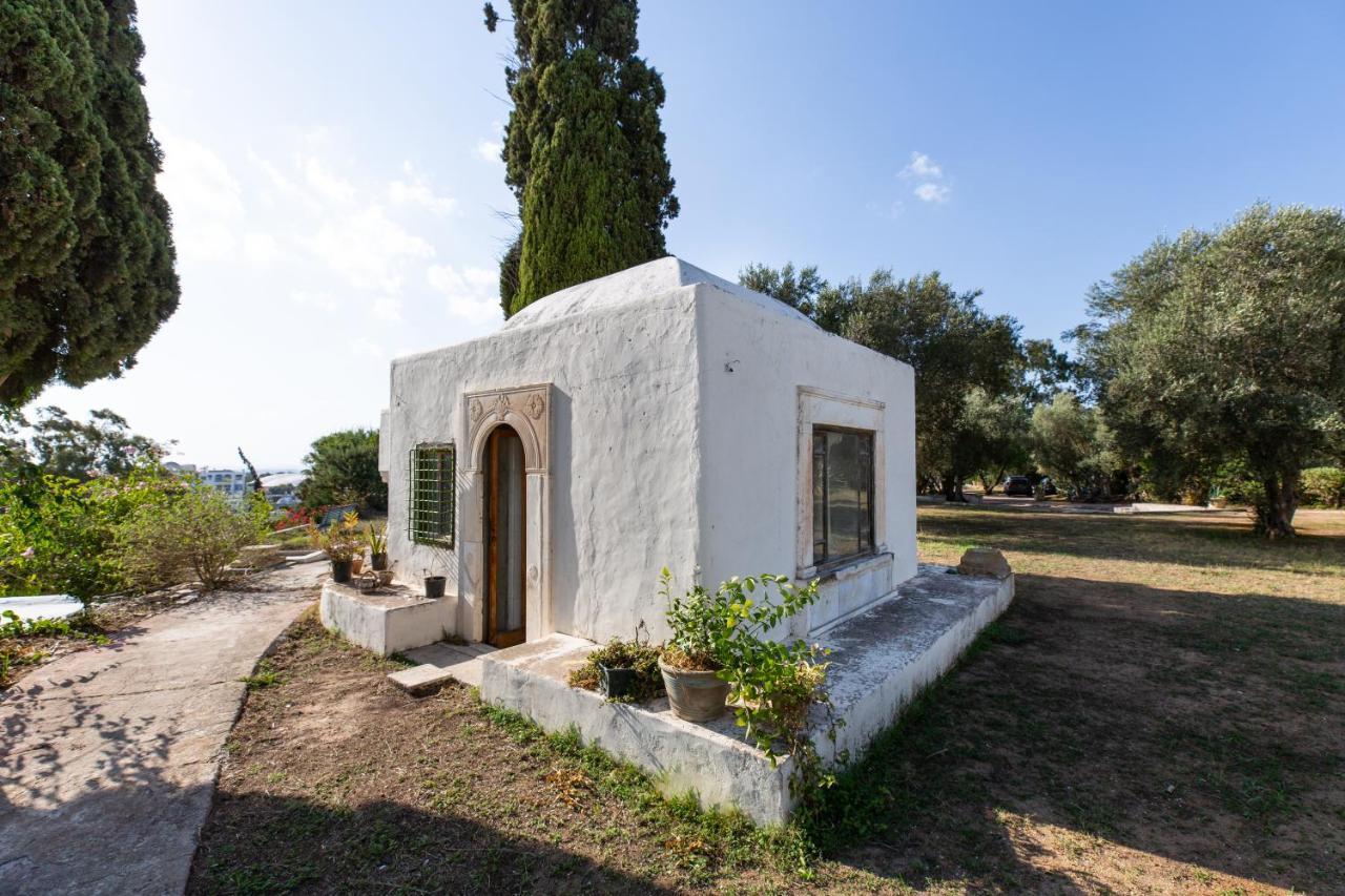 Lella Zohra, Studio Avec Piscine A Sidi Bou Said Exterior photo