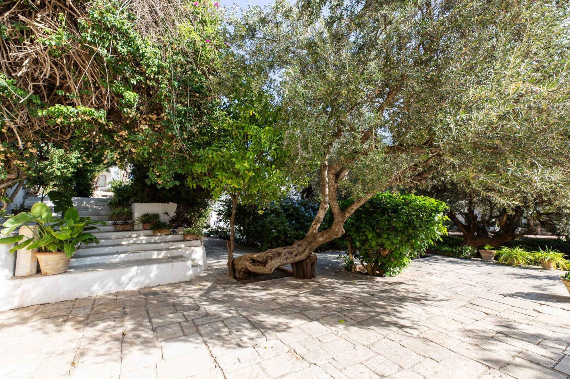 Lella Zohra, Studio Avec Piscine A Sidi Bou Said Exterior photo