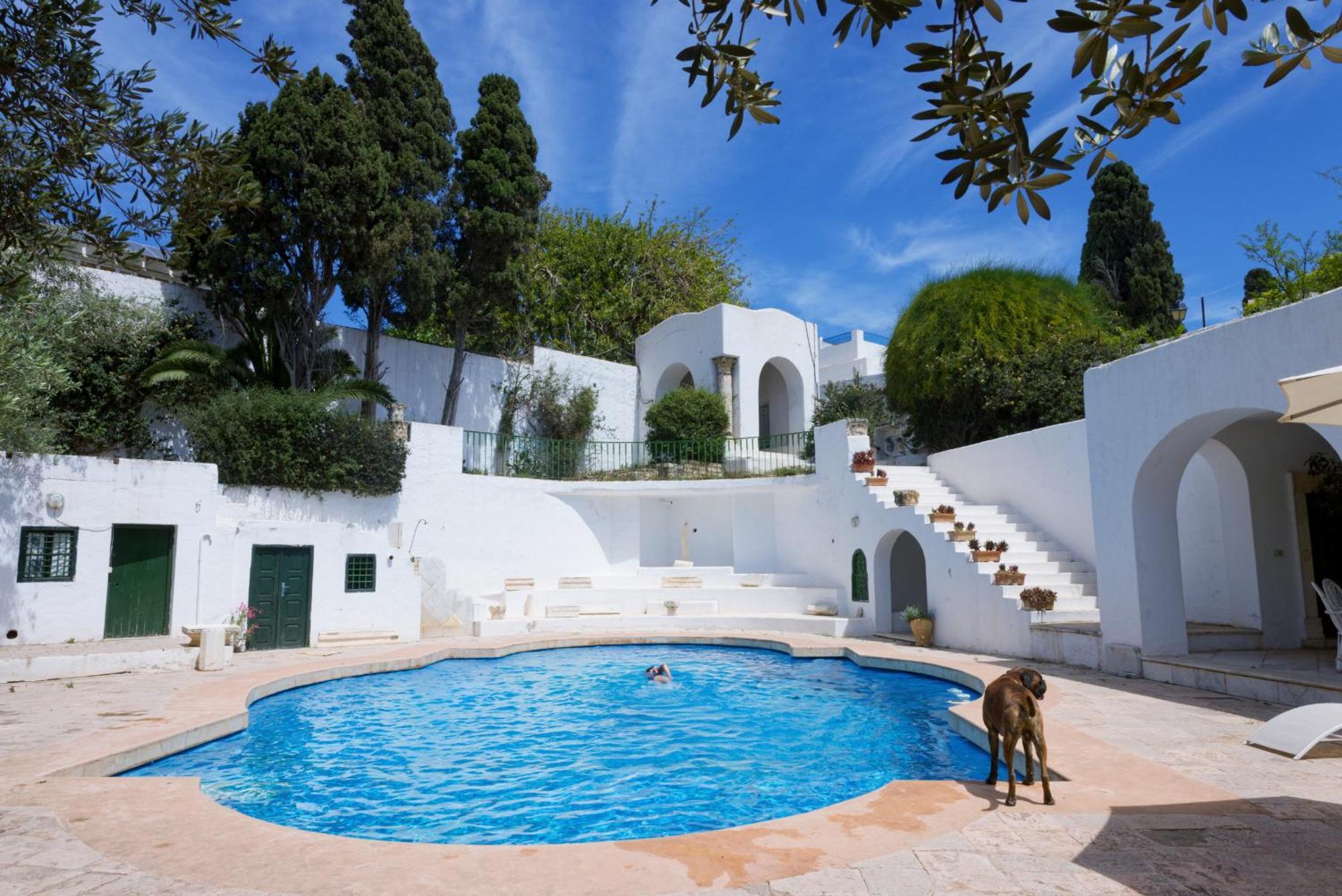 Lella Zohra, Studio Avec Piscine A Sidi Bou Said Exterior photo