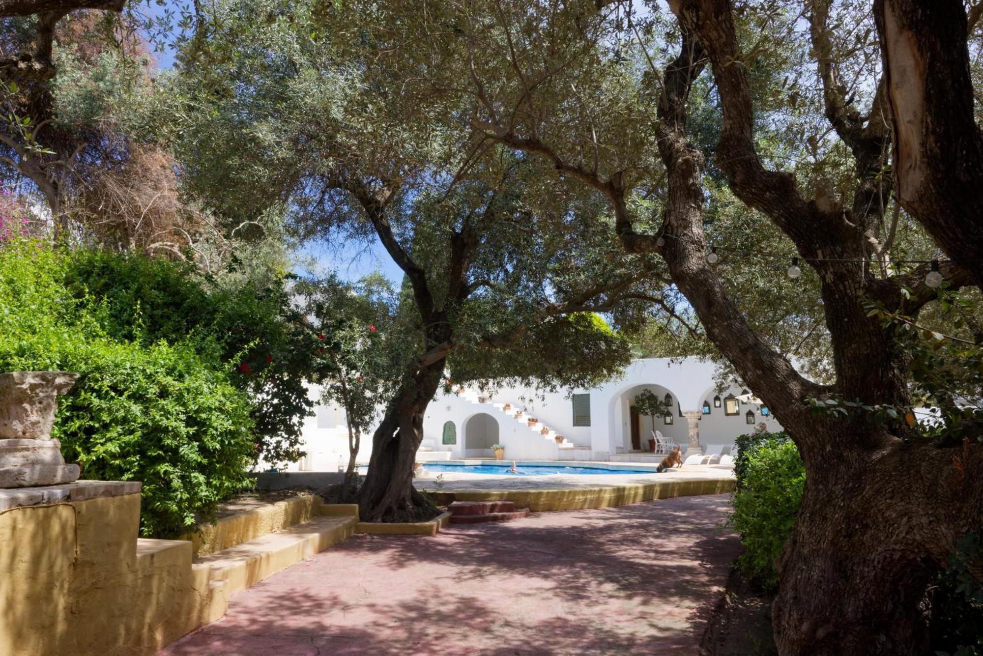 Lella Zohra, Studio Avec Piscine A Sidi Bou Said Exterior photo